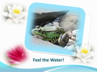 Feel the Water!

 