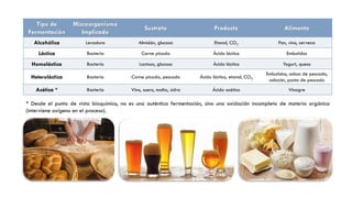 Microorganismos en la Industria | PDF