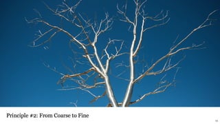 From Coarse to Fine: Insights from Landscape Design