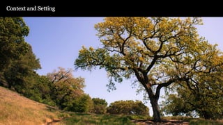 From Coarse to Fine: Insights from Landscape Design