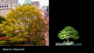 From Coarse to Fine: Insights from Landscape Design