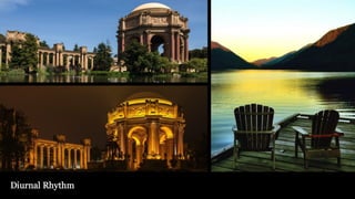 From Coarse to Fine: Insights from Landscape Design