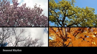 From Coarse to Fine: Insights from Landscape Design