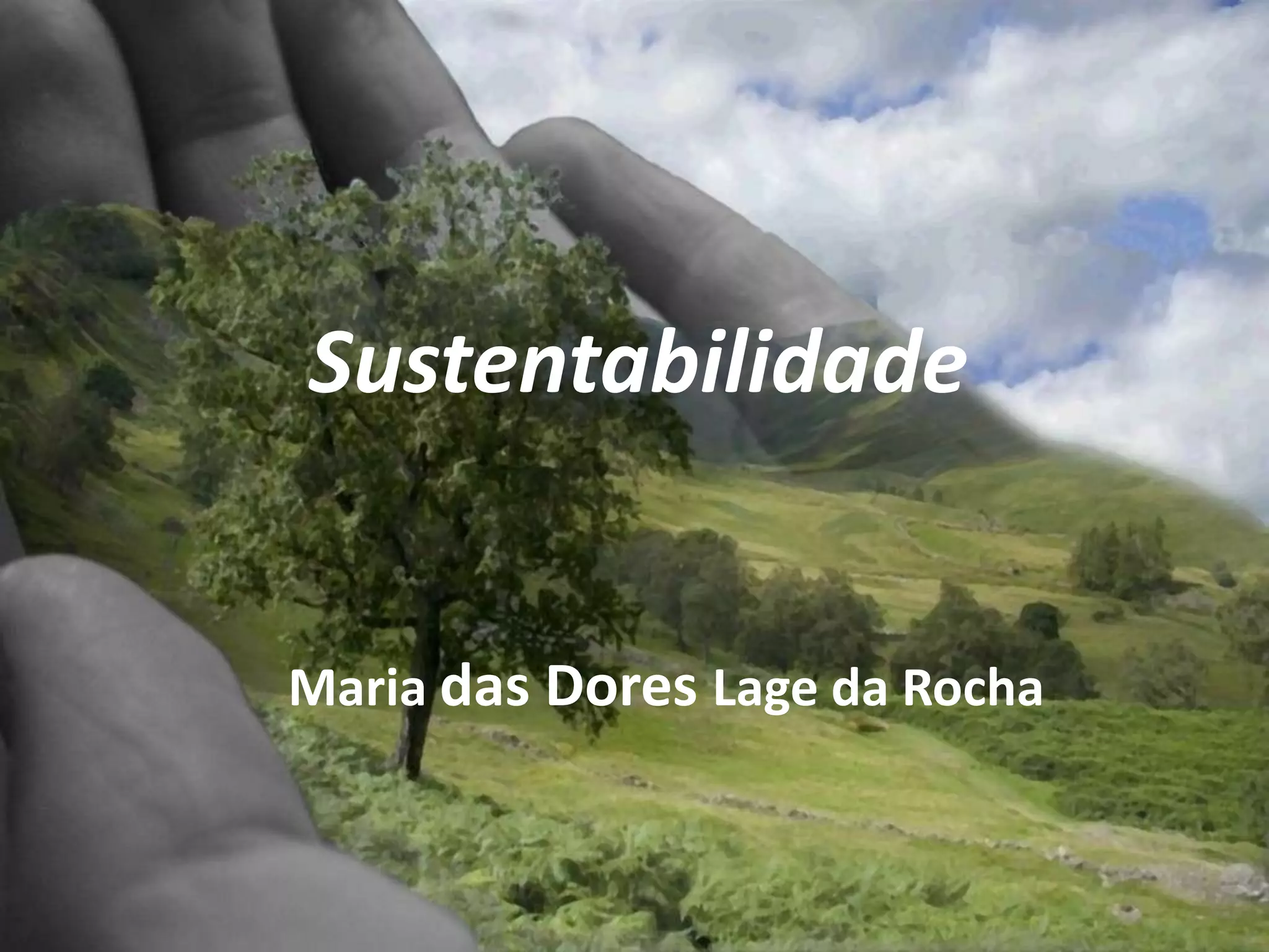 Sustentabilidade
Maria das Dores Lage da Rocha