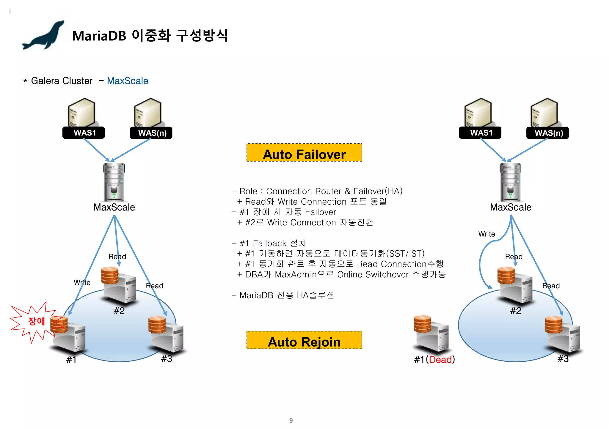 9
MariaDB 이중화 구성방식
WAS(n)
WAS1
MaxScale
Auto Failover
- Role : Connection Router & Failover(HA)
+ Read와 Write Connection 포트 동일
- #1 장애 시 자동 Failover
+ #2로 Write Connection 자동전환
- #1 Failback 절차
+ #1 기동하면 자동으로 데이터동기화(SST/IST)
+ #1 동기화 완료 후 자동으로 Read Connection수행
+ DBA가 MaxAdmin으로 Online Switchover 수행가능
- MariaDB 전용 HA솔루션
Auto Rejoin
Write
* Galera Cluster - MaxScale
#1 #3
장애
#2
Read
Read
WAS(n)
WAS1
MaxScale
Write
#1(Dead) #3
#2
Read
Read
 