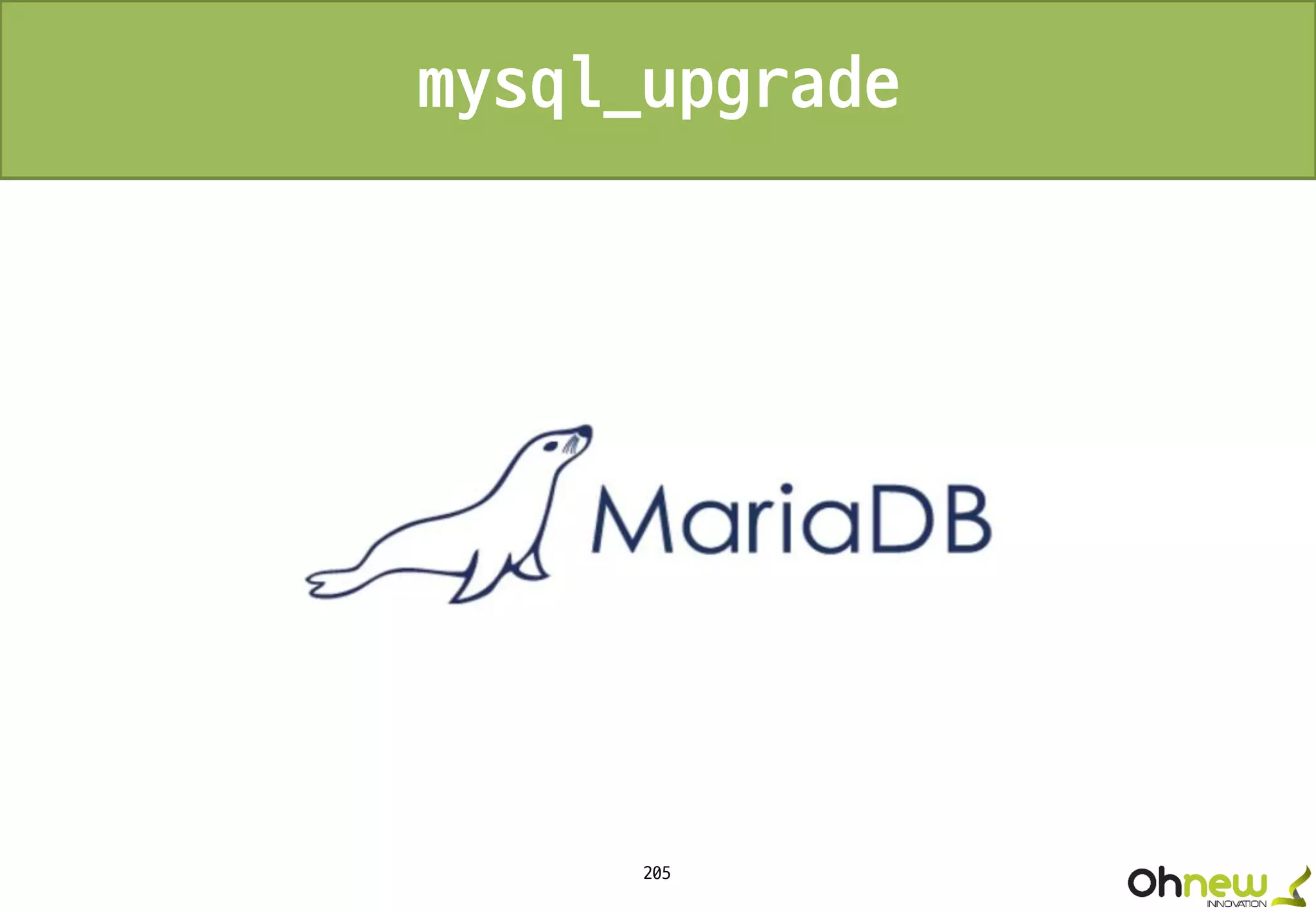 205
mysql_upgrade
 