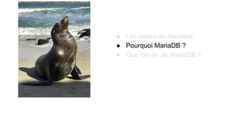 ● Les bases de données
● Pourquoi MariaDB ?
● Que fait-on de MariaDB ?
 