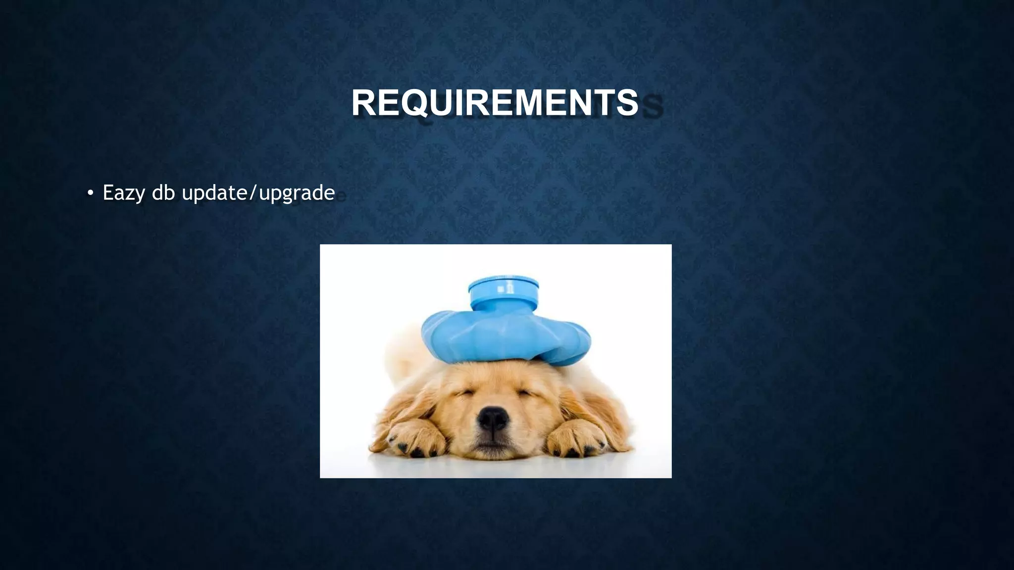 REQUIREMENTS
• Eazy db update/upgrade
 