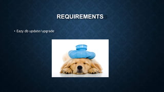 REQUIREMENTS
• Eazy db update/upgrade
 