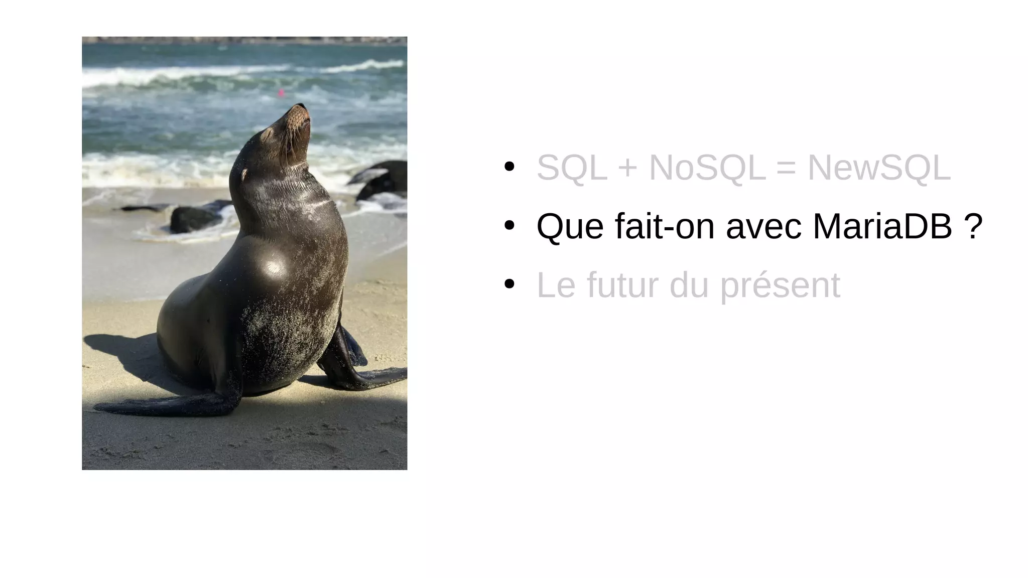 ●
SQL + NoSQL = NewSQL
●
Que fait-on avec MariaDB ?
●
Le futur du présent
 