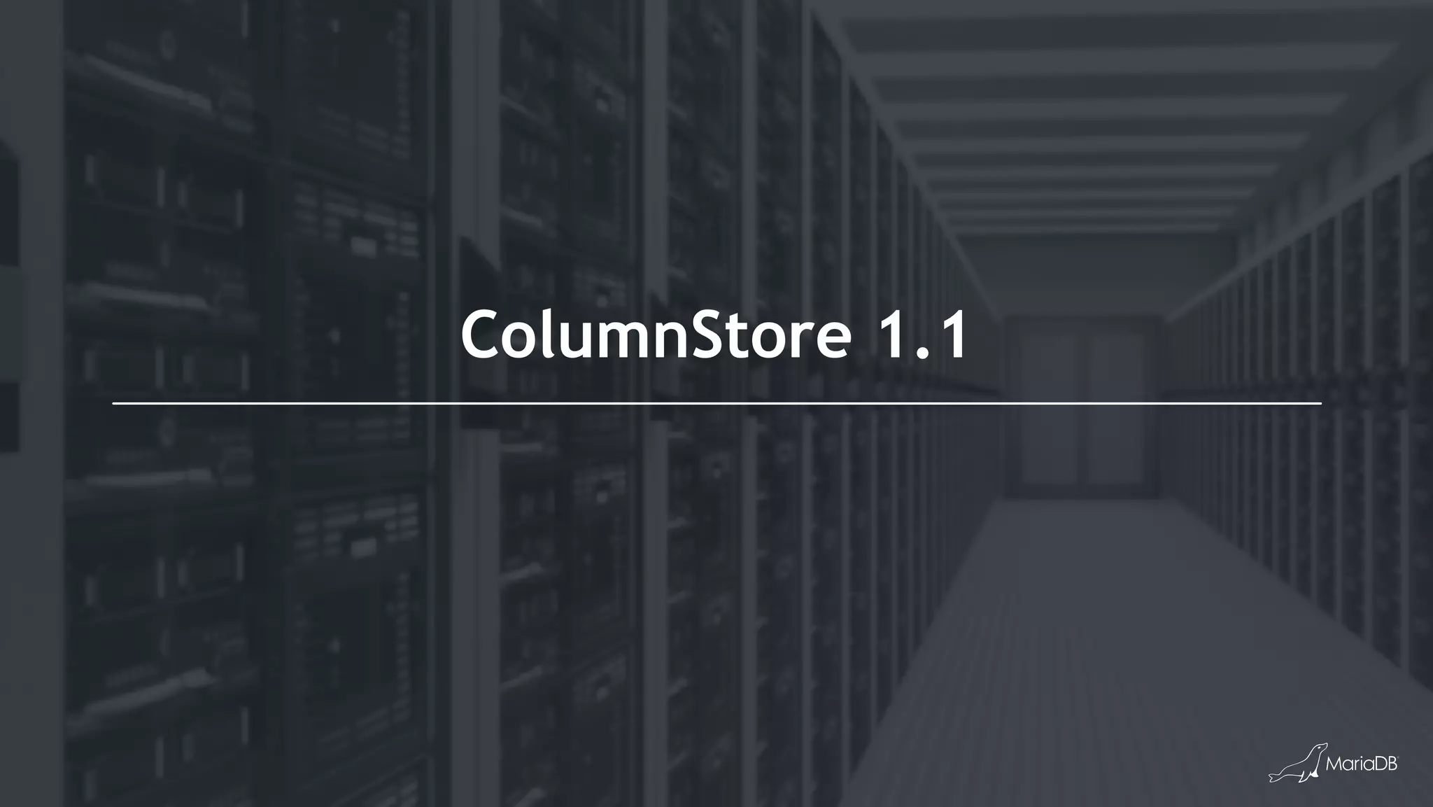 ColumnStore 1.1
 