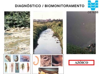DIAGNÓSTICO / BIOMONITORAMENTO




                         AZÓICO
 