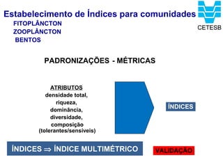Estabelecimento de Índices para comunidades
  FITOPLÂNCTON
  ZOOPLÂNCTON
  BENTOS


          PADRONIZAÇÕES - MÉTRICAS


             ATRIBUTOS
           densidade total,
               riqueza,
             dominância,
                                     ÍNDICES
             diversidade,
             composição
        (tolerantes/sensíveis)


 ÍNDICES ⇒ ÍNDICE MULTIMÉTRICO   VALIDAÇÃO
 