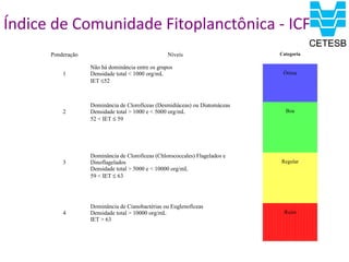 Índice de Comunidade Fitoplanctônica - ICF
      Ponderação                                  Níveis                     Categoria

                   Não há dominância entre os grupos
          1        Densidade total < 1000 org/mL                              Ótima
                   IET ≤52



                   Dominância de Clorofíceas (Desmidiáceas) ou Diatomáceas
          2        Densidade total > 1000 e < 5000 org/mL                      Boa
                   52 < IET ≤ 59




                   Dominância de Clorofíceas (Chlorococcales) Flagelados e
          3        Dinoflagelados                                            Regular
                   Densidade total > 5000 e < 10000 org/mL
                   59 < IET ≤ 63




                   Dominância de Cianobactérias ou Euglenofíceas
          4        Densidade total > 10000 org/mL                             Ruim
                   IET > 63
 