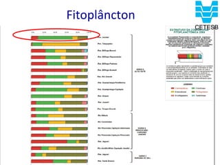 Fitoplâncton
 