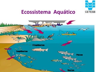 Ecossistema Aquático
 