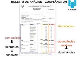 BOLETIM DE ANÁLISE - ZOOPLÂNCTON




                               densidades


composição
                              abundâncias
tolerantes                      relativas
     X                        dominâncias
sensíveis
 