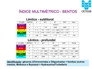 ÍNDICE MULTIMÉTRICO - BENTOS

                    Lêntico - sublitoral
          CLASSE    PONTO        S           ICS                H’           T/DT             Ssens
          PÉSSIMA     5                                     AZÓICO
           RUIM       4      1–8           < 5,00           ≤
                                                            1,50             ≥
                                                                             0,70               0
         REGULAR      3     9 – 16      5,00 - < 15,00   > 1,50 - ≤
                                                                  2,25    0,40 - < 0,70         1
           BOA        2     17 – 24     15,00 - < 25,00 > 2,25 - ≤
                                                                 3,50     0,10 - < 0,40         2
          ÓTIMA       1      ≥
                             25            ≥
                                           25,00            > 3,50           < 0,10            ≥
                                                                                               3


                     Lêntico - profundal
          CLASSE    PONTO    S           ICS               H’               T/DT             Tt/Chi
         PÉSSIMA      5                                     AZÓICO
          RUIM        4     1–3         ≤
                                        1,00             ≤
                                                         0,50              ≥
                                                                           0,80               ≤
                                                                                              0,03
         REGULAR      3     4–6      > 1,00 - ≤
                                              3,50   > 0,50 - ≤
                                                              1,50       ≥ - < 0,80
                                                                         0,50             > 0,03 - ≤
                                                                                                   0,06
           BOA        2     7–9      > 3,50 - ≤
                                              7,00   > 1,50 - ≤
                                                              2,00       ≥ - < 0,50
                                                                         0,20             > 0,06 - < 0,10
          ÓTIMA       1     ≥
                            10          ≥
                                        7,00             > 2,00            < 0,20             ≥
                                                                                              0,10


Identificação: gêneros (Chironomidae e Oligochaeta) + famílias (outros
insetos, Mollusca e Bryozoa) + Hydracarina/Turbellaria
 