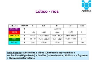 Lótico - rios


   CLASSE    PONTO     S            ICS              H’             T/DT          Ssens
   PÉSSIMA     5                                   AZÓICO
    RUIM       4      ≤
                      5            ≤
                                   3,00            ≤
                                                   1,00             > 0,75         0
  REGULAR      3     6 – 13    > 3,00 - ≤
                                        9,50    > 1,00 - ≤
                                                         1,50   ≥ -≤
                                                                0,50 0,75          1
    BOA        2     14 – 20   > 9,50 - ≤
                                        20,00   > 1,50 - ≤
                                                         2,50   > 0,25 - < 0,50    2
   ÓTIMA       1      ≥
                      21          > 20,00          > 2,50           ≤
                                                                    0,25           ≥
                                                                                   3




Identificação: subfamílias e tribos (Chironomidae) + famílias e
subfamílias (Oligochaeta) + famílias (outros insetos, Molllusca e Bryozoa)
+ Hydracarina/Turbellaria
 