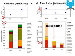 rio Ribeira (RIBE 02650)               X     rio Piracicaba (PCAB 02130)
                            19                                                                             20

                            18                                                                             15




                                                                                           Riqueza
 Riqueza




                            17                                                                             10

                            16                                                                              5

                            15                                                                              0
                                      2009         2010                                                             2002     2003          2007

                            5000                          P erlidae                                       250000                                  Gomphidae
                                                          Leptoceridae
                                                                                                                                                  Psychodidae
                            4500
                                                                                                                     toxicidade?
                                                          Ephemero ptera ni
                                                                                                                                                  Ceratopogonidae
                                                          Leptohyphidae

                            4000                          Ephemeridae
                                                                                                          200000                                  Orthocladiinae
                                                                                                                                                  Tanytarsini
                                                          Caenidae
                                                                                                                                                  Chironomini
                            3500




                                                                              Densidade Total (ind./m2)
                                                          Elmidae
Densidade Total (ind./m2)




                                                          Gomphidae                                                                               Thiaridae
                                                                                                          150000
                            3000                          B rachycera ni                                                                          Physidae
                                                          Ceratopo gonidae                                                                        Ancylidae
                            2500                          Orthocladinae                                                                           Sphaeriidae
                                                          Tanypodinae                                     100000                                  Corbiculidae
                            2000                          Tanytarsini                                                                             Glossiphoniidae
                                                          Chironomini                                                                             Erpobdellidae
                            1500
                                                          Hydracarina                                                                             Lumbriculidae
                                                                                                           50000
                            1000                          M egadrilos
                                                                                                                                                  Aelostomatidae
                                                          Naidinae
                                                                                                                                                  Opistocystidae
                             500                          Tubificidae sqc
                                                                                                                                                  Naididae
                                                          Tubificidae cqc
                                                                                                                0                                 Aelossomatidae
                                 0                        Sphaeriidae
                                                                                                                    2002   2003     2007          Tubificidae cqc
                                      2009      2010      Corbiculidae
                                                                                                                                                  Tubificidae sqc
                                                          M ycetopo didae
                                                                                                                                                  Turbellaria
                                                          Nemertea
 