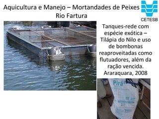 Aquicultura e Manejo – Mortandades de Peixes
                 Rio Fartura
                                Tanques-rede com
                                 espécie exótica –
                               Tilápia do Nilo e uso
                                   de bombonas
                              reaproveitadas como
                              flutuadores, além da
                                  ração vencida.
                                Araraquara, 2008
 