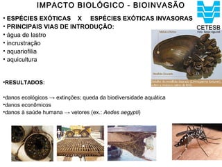IMPACTO BIOLÓGICO - BIOINVASÃO
• ESPÉCIES EXÓTICAS X ESPÉCIES EXÓTICAS INVASORAS
• PRINCIPAIS VIAS DE INTRODUÇÃO:
• água de lastro
• incrustração
• aquariofilia
• aquicultura


•RESULTADOS:

•danos ecológicos → extinções; queda da biodiversidade aquática
•danos econômicos
•danos à saúde humana → vetores (ex.: Aedes aegypti)
 