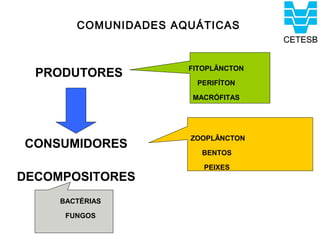 COMUNIDADES AQUÁTICAS


                      FITOPLÂNCTON
  PRODUTORES
                       PERIFÍTON

                      MACRÓFITAS




                      ZOOPLÂNCTON
CONSUMIDORES
                        BENTOS

                         PEIXES
DECOMPOSITORES
     BACTÉRIAS

      FUNGOS
 