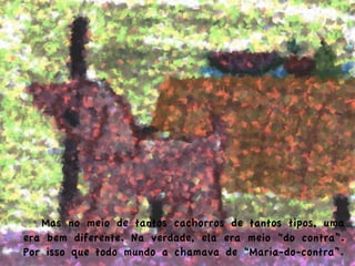  Mas no meio de tantos cachorros de tantos tipos, uma
era bem diferente. Na verdade, ela era meio “do contra”.
Por isso que todo mundo a chamava de “Maria-do-contra”.
 