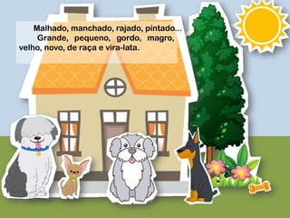 Malhado, manchado, rajado, pintado...
Grande, pequeno, gordo, magro,
velho, novo, de raça e vira-lata.
 