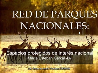RED DE PARQUES
NACIONALES:
Espacios protegidos de interés nacional
María Esteban García 4A
 