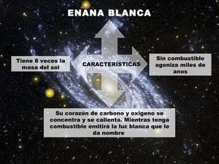 ENANA BLANCA Tiene 8 veces la masa del sol Sin combustible agoniza miles de anos Su corazón de carbono y oxigeno se concentra y se calienta. Mientras tenga combustible emitirá la luz blanca que le da nombre  CARACTERÍSTICAS 