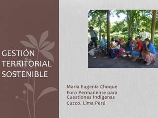Maria Eugenia Choque
Foro Permanente para
Cuestiones Indígenas
Cuzco. Lima Perú
GESTIÓN
TERRITORIAL
SOSTENIBLE
 