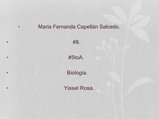• María Fernanda Capellán Salcedo.
• #8.
• #5toA.
• Biología.
• Yissel Rosa.
 