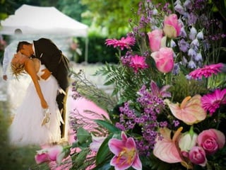 Mariage Angeli Senza Paradiso