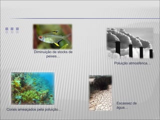 Diminuição de stocks de peixes… Poluição atmosférica… Escassez de água… Corais ameaçados pela poluição… 