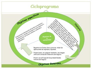 Registrar en forma clara y precisa, todas las 
operaciones de ingresos y egresos. 
Proporcionar, en cualquier momento, una imagen 
clara de la situación financiera del negocio. 
Prever con anticipación las probabilidades 
futuras del negocio 
 