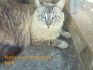 Nada a ver mas tudo bem. 