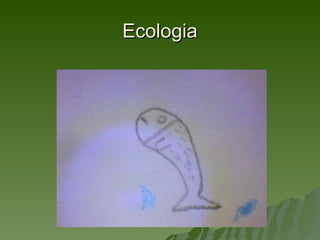 Ecologia
 