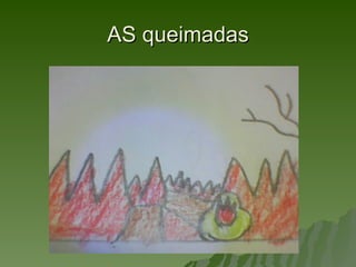 AS queimadas
 