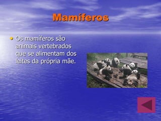 Mamíferos
• Os mamíferos são

animais vertebrados
que se alimentam dos
leites da própria mãe.

 