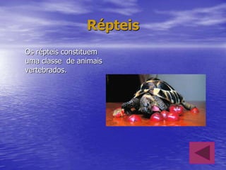 Répteis
Os répteis constituem
uma classe de animais
vertebrados.

 