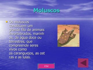 Moluscos
• Os moluscos

constituem um
grande filo de animais
invertebrados, marinh
os, de água doce ou
terrestres, que
compreende seres
vivos como
os caranguejos, as ost
ras e as lulas.
FIM

 