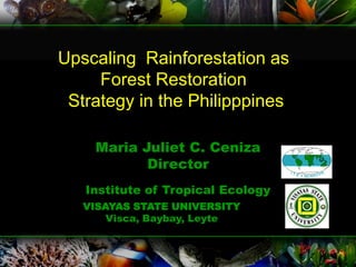 Upscaling Rainforestation as
     Forest Restoration
 Strategy in the Philipppines

    Maria Juliet C. Ceniza
           Director
   Institute of Tropical Ecology
   VISAYAS STATE UNIVERSITY
       Visca, Baybay, Leyte
 