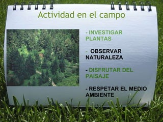 Actividad en el campo   - INVESTIGAR PLANTAS   -  OBSERVAR NATURALEZA   - DISFRUTAR DEL PAISAJE - RESPETAR EL MEDIO AMBIENTE 