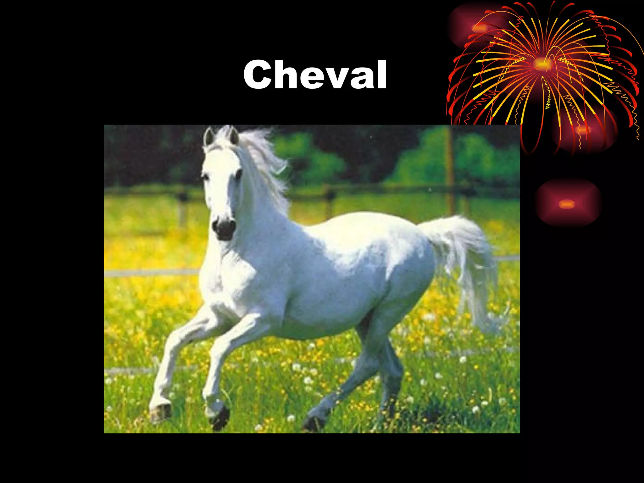 Cheval