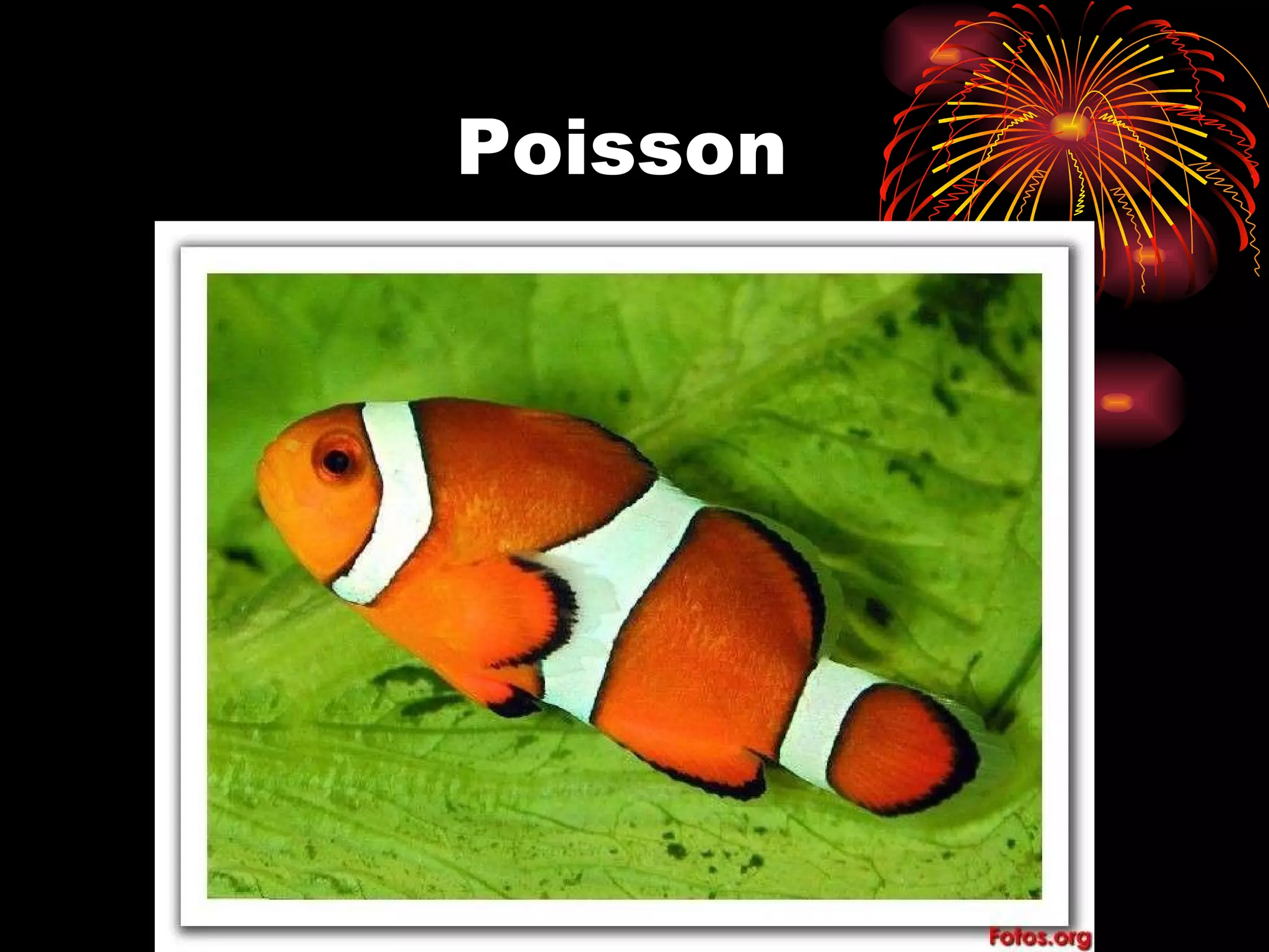 Poisson