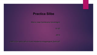 Practica Slibe
María José Zambrano torrenegra
10-02
2014
Institución educativa liceo moderno magangue (bolívar)

 