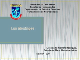 UNIVERSIDAD YACAMBÚ 
Facultad de Humanidades 
Departamento de Estudios Generales 
Fundamentos de Neurociencias 
Licenciada: Xiomara Rodríguez. 
Estudiante: María Alejandra Juárez 
MERIDA , 2014 
 