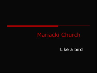 Mariacki Church Like a bird 
