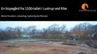 En bispegård fra 1100-tallet i Lustrup ved Ribe
Maria Knudsen, arkæolog, Sydvestjyske Museer
 